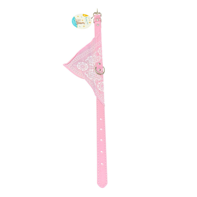 Dog Hook Collar 2.00cm