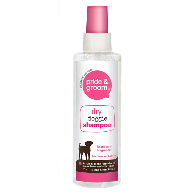 Dry Shampoo Spray 200ml